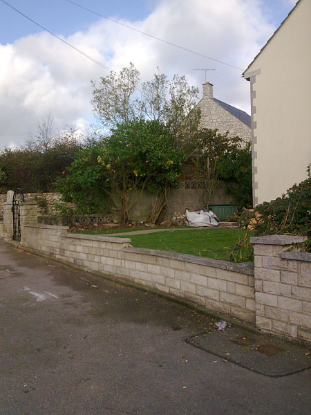  Hedge removal Weymouth 